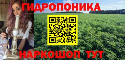 шишки Кунгур
