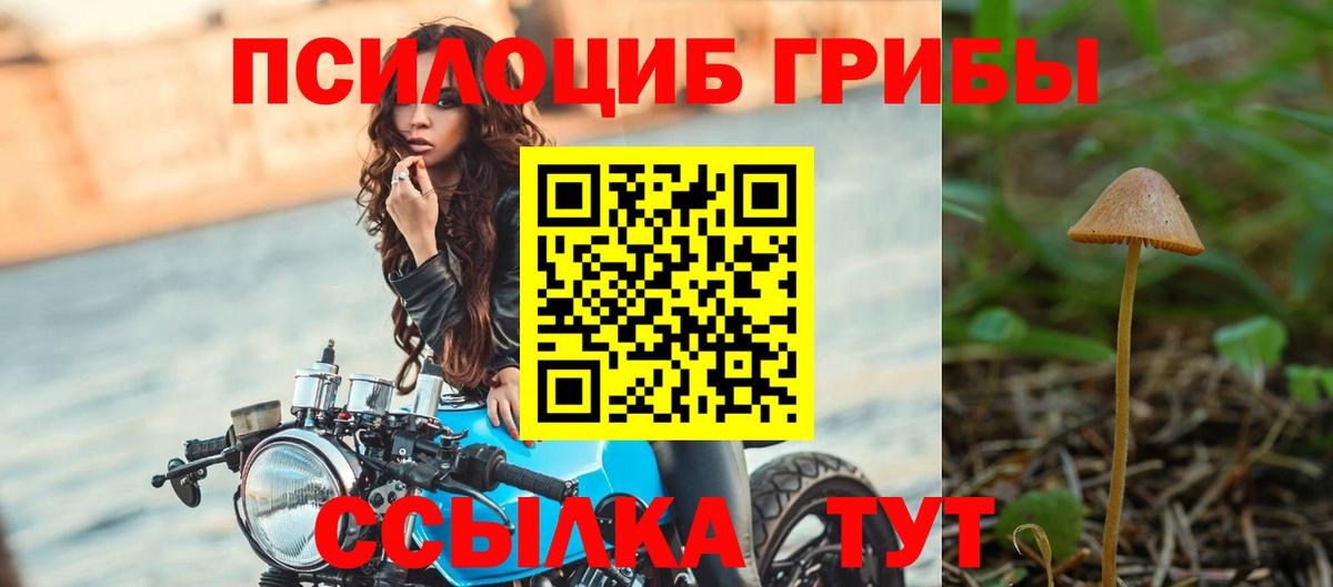 купить закладку  Галлюциногенные грибы GOLDEN TEACHER  Вход с VPN  Псилоцибиновые грибы мухоморы  Домодедово 